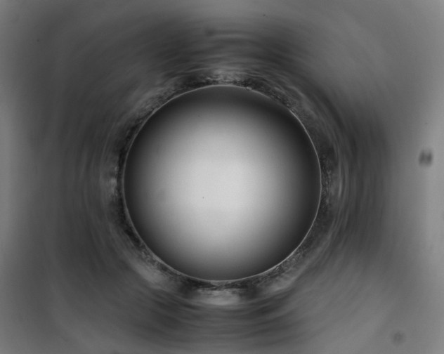 X0000101660553200807101256