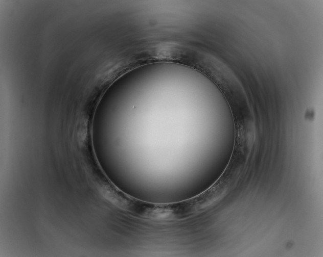 X0000101660554200807101257