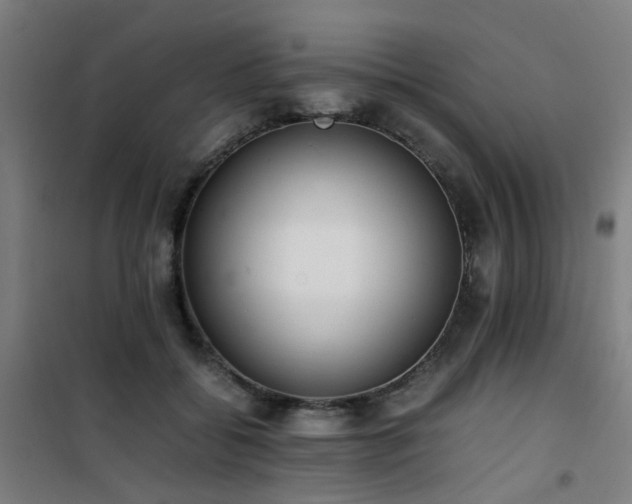 X0000101660556200807101257