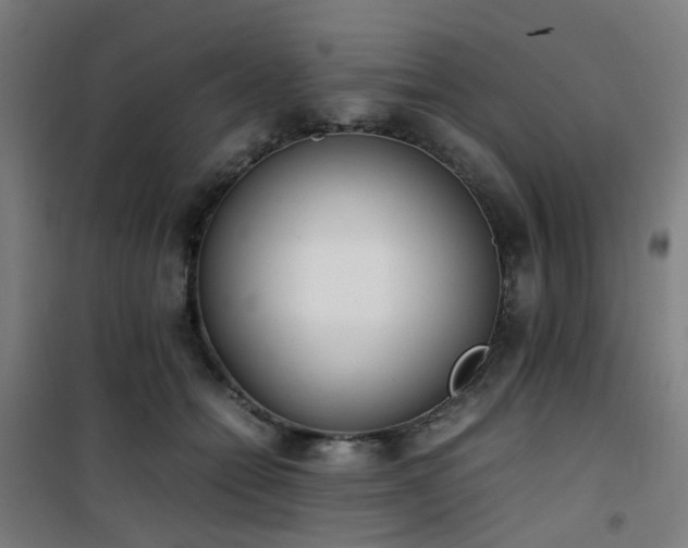 X0000101660558200807101257