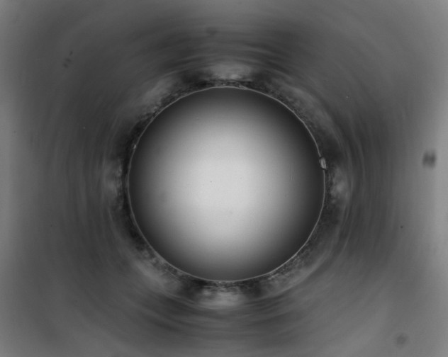 X0000101660559200807101257