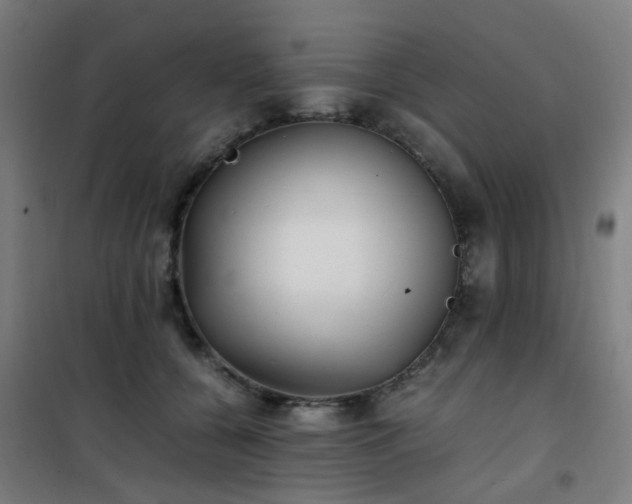 X0000101660560200807101257