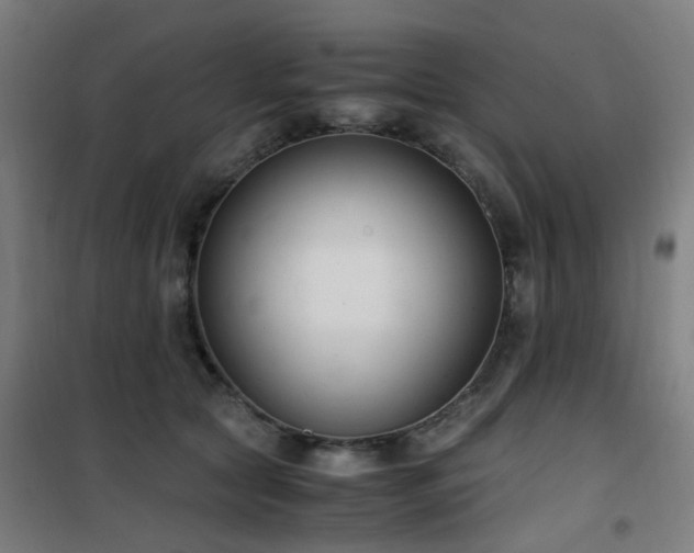 X0000101660561200807101257