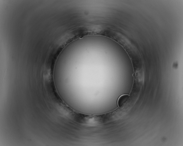 X0000101660564200807101257