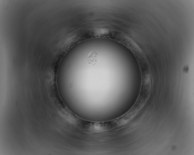 X0000101660565200807101257