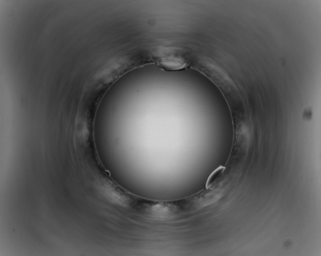 X0000101660566200807101257