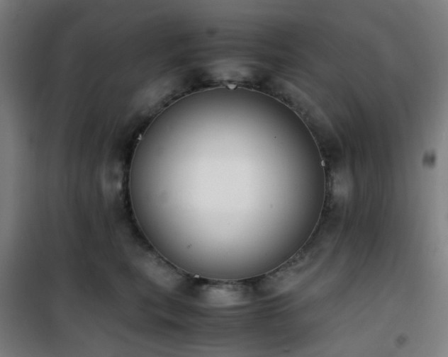 X0000101660567200807101257