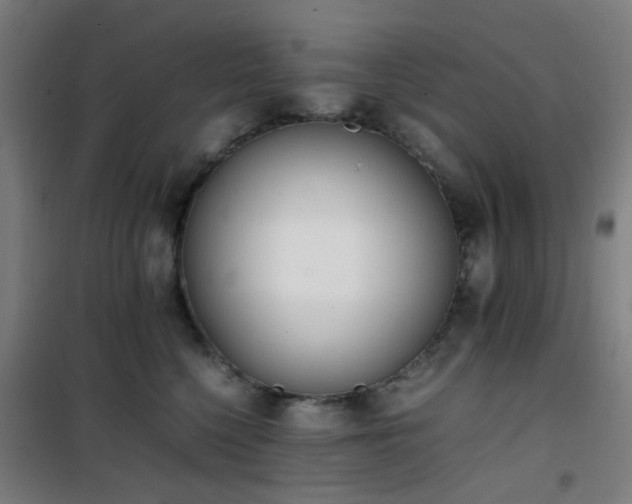 X0000101660568200807101257