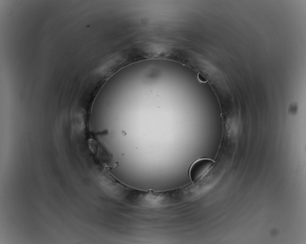 X0000101660570200807101257