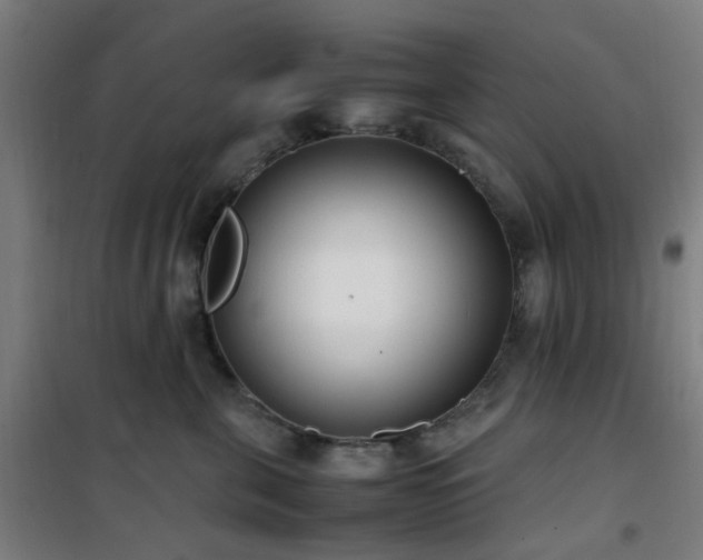 X0000101660571200807101257