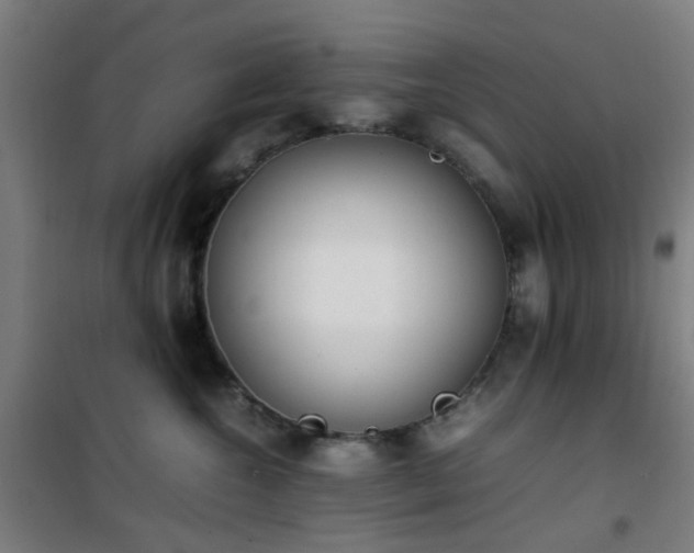 X0000101660572200807101257