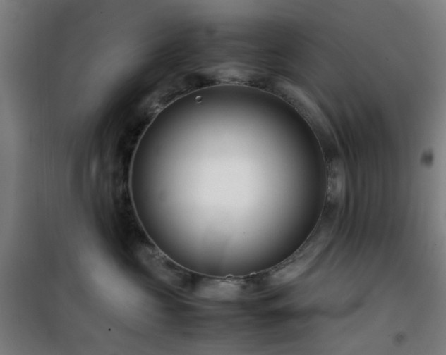 X0000101660573200807101257