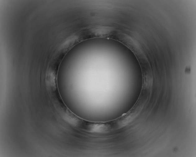 X0000101660575200807101257