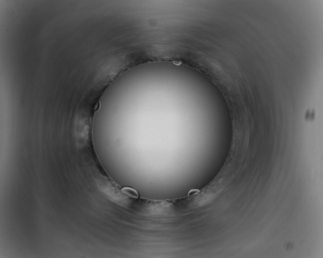 X0000101660576200807101257