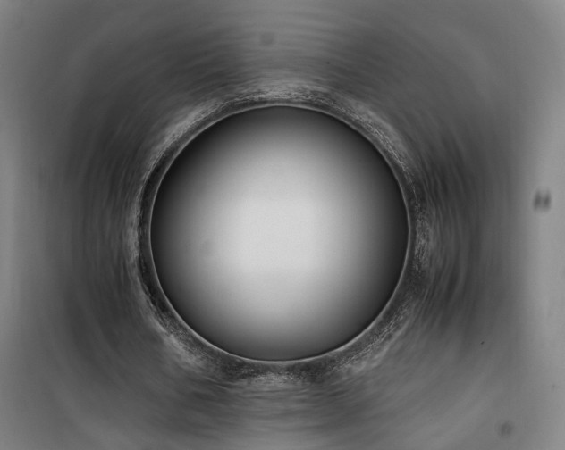 X0000101660578200807101256