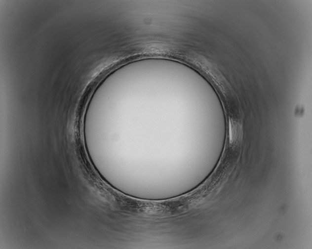 X0000101660579200807101256