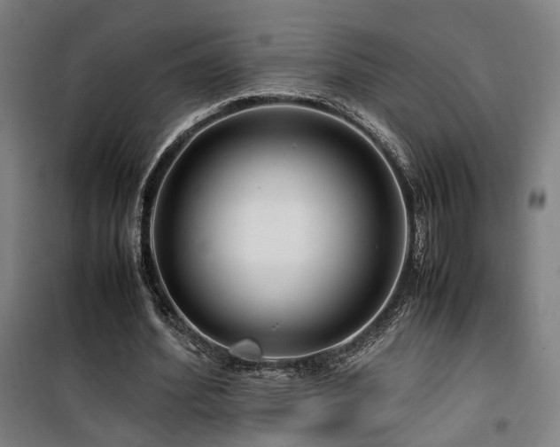 X0000101660580200807101256