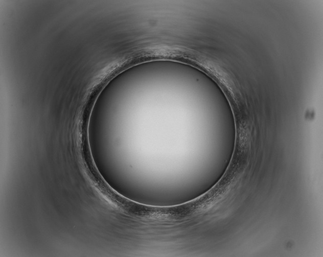 X0000101660581200807101256