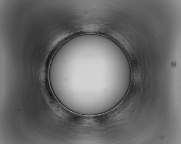 X0000101660583200807101256