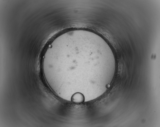 X0000101660584200807101256