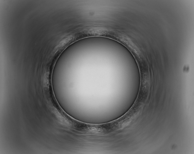 X0000101660585200807101256