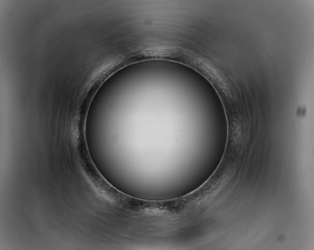 X0000101660586200807101256