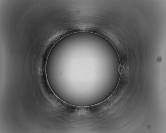 X0000101660587200807101256