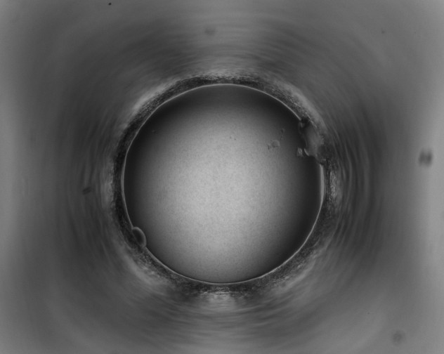 X0000101660588200807101256