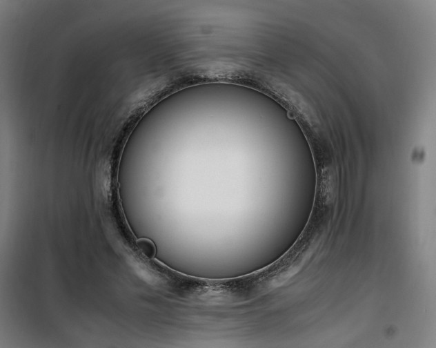 X0000101660589200807101256