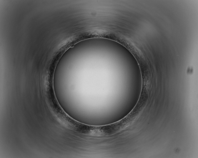 X0000101660591200807101256