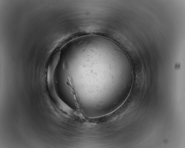 X0000101660592200807101256