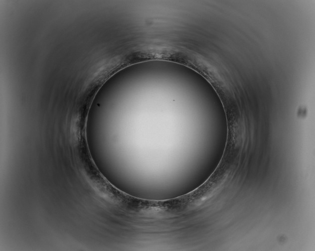 X0000101660594200807101256