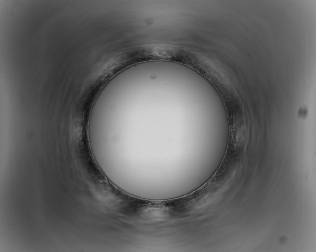 X0000101660595200807101256