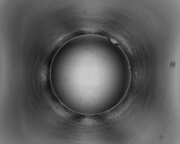 X0000101660596200807101256