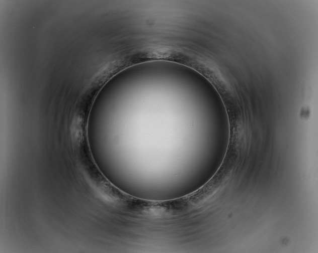 X0000101660598200807101256