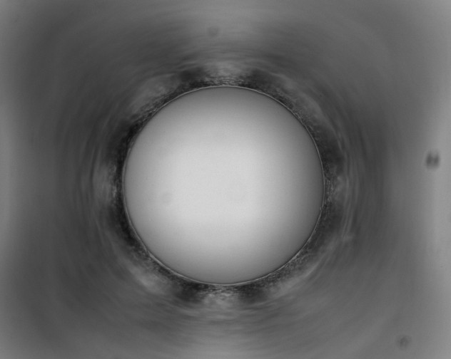 X0000101660599200807101256