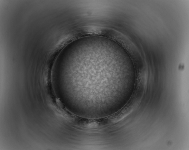 X0000101660600200807101256