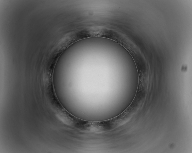 X0000101660601200807101256