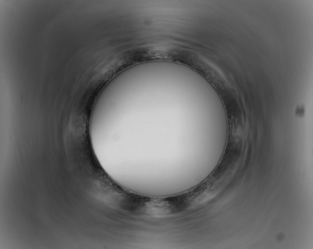 X0000101660603200807101256