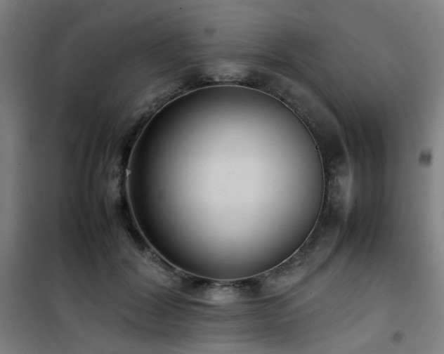 X0000101660604200807101256