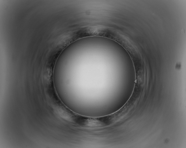 X0000101660605200807101256