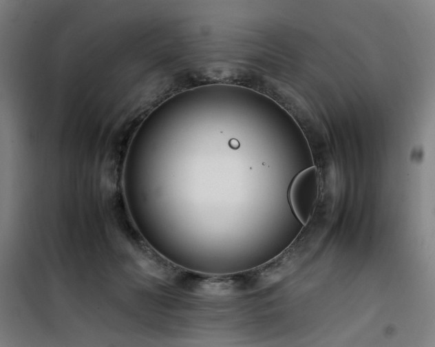 X0000101660606200807101256