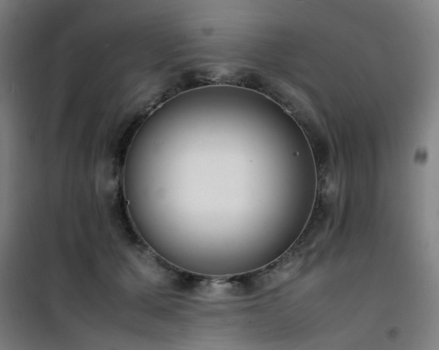 X0000101660607200807101256