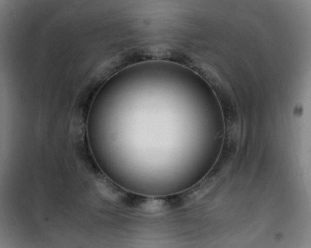 X0000101660609200807101255