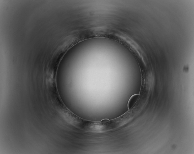 X0000101660610200807101255