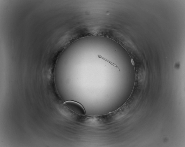 X0000101660611200807101255