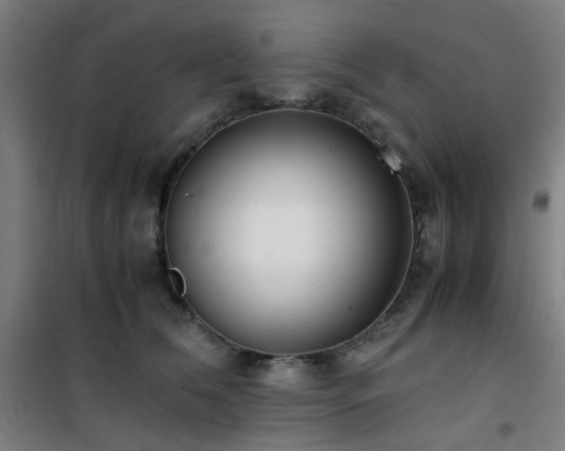 X0000101660612200807101255