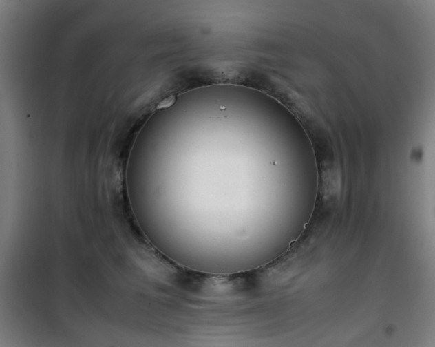 X0000101660613200807101255