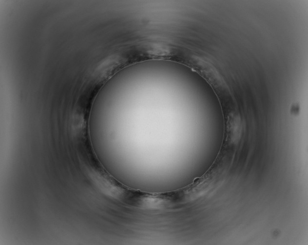 X0000101660614200807101255