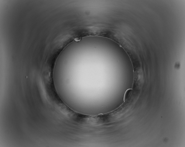 X0000101660615200807101255